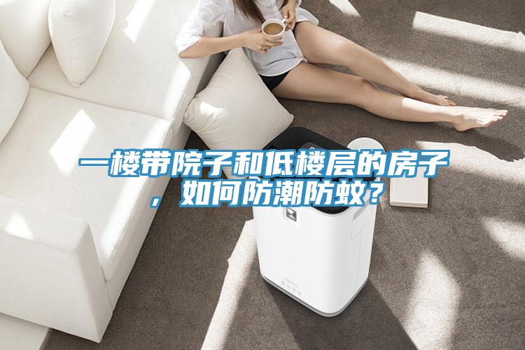 一楼带院子和低楼层的房子，如何防潮防蚊？
