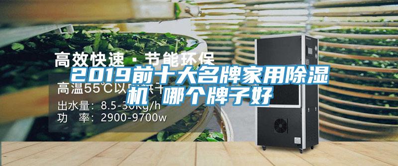 2019前十大名牌家用猫咪成人官网 哪个牌子好