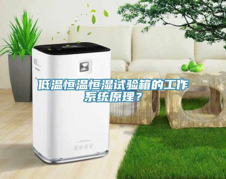 低温恒温恒湿试验箱的工作系统原理？