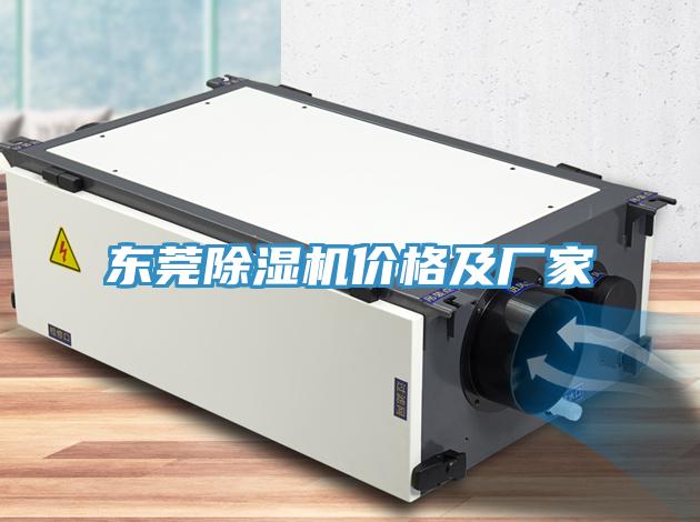 东莞猫咪成人官网价格及厂家