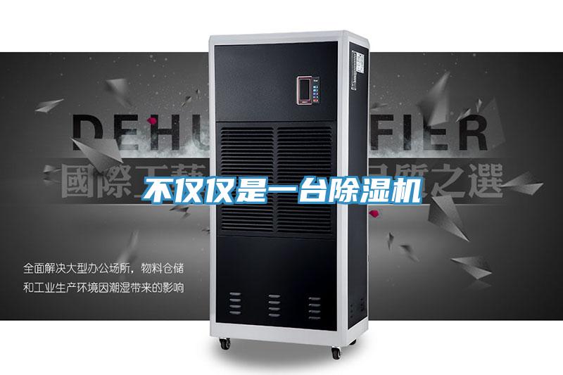 不仅仅是一台猫咪成人官网