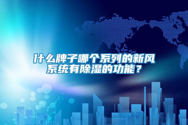 什么牌子哪个系列的新风系统有除湿的功能？