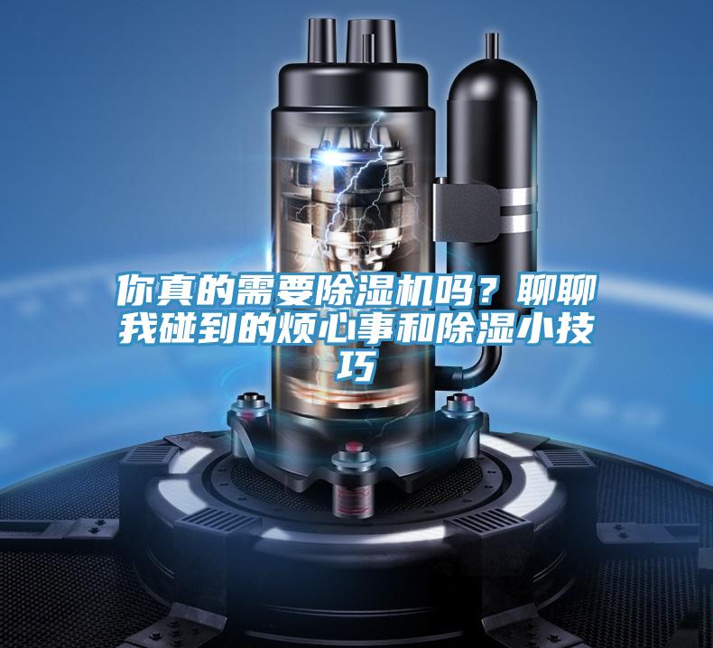 你真的需要猫咪成人官网吗？聊聊我碰到的烦心事和除湿小技巧