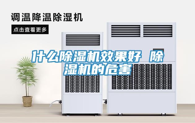什么猫咪成人官网效果好 猫咪成人官网的危害