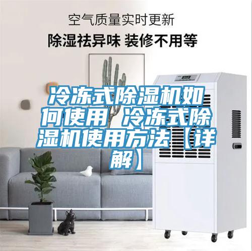 冷冻式猫咪成人官网如何使用 冷冻式猫咪成人官网使用方法【详解】