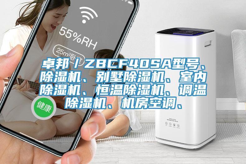 卓邦／ZBCF40SA型号、猫咪成人官网、别墅猫咪成人官网、室内猫咪成人官网、恒温猫咪成人官网、调温猫咪成人官网、机房空调、