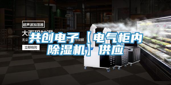 共创电子【电气柜内猫咪成人官网】供应
