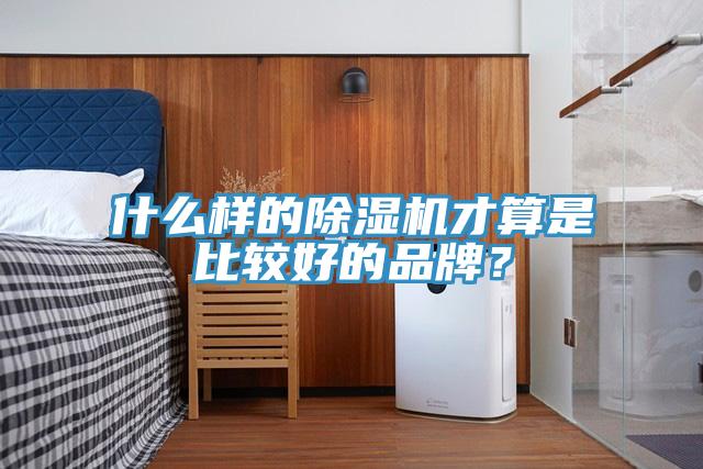 什么样的猫咪成人官网才算是比较好的品牌？