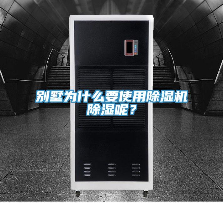 别墅为什么要使用猫咪成人官网除湿呢？