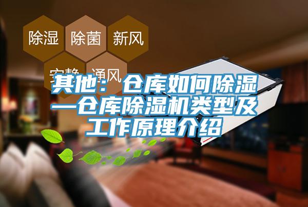 其他：仓库如何除湿—仓库猫咪成人官网类型及工作原理介绍