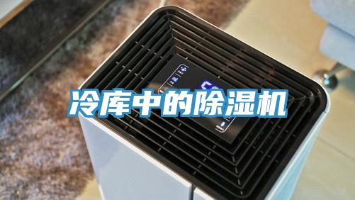 冷库中的猫咪成人官网