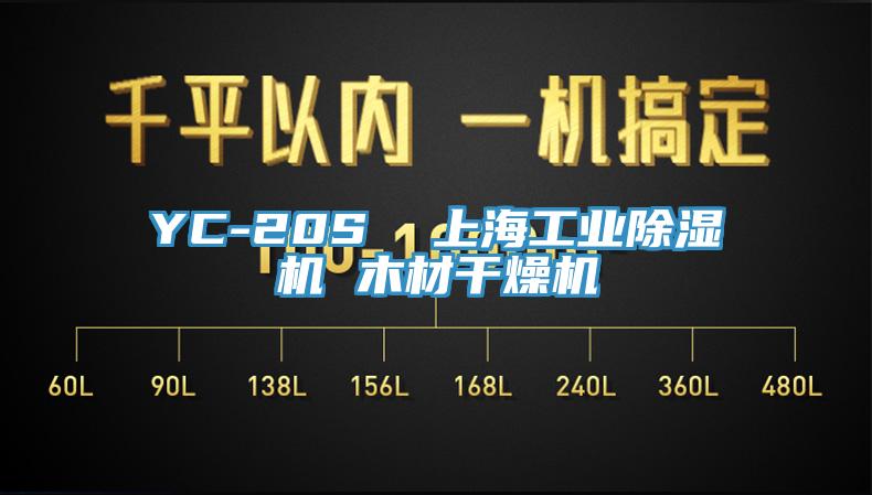 YC-20S  上海工业猫咪成人官网 木材干燥机