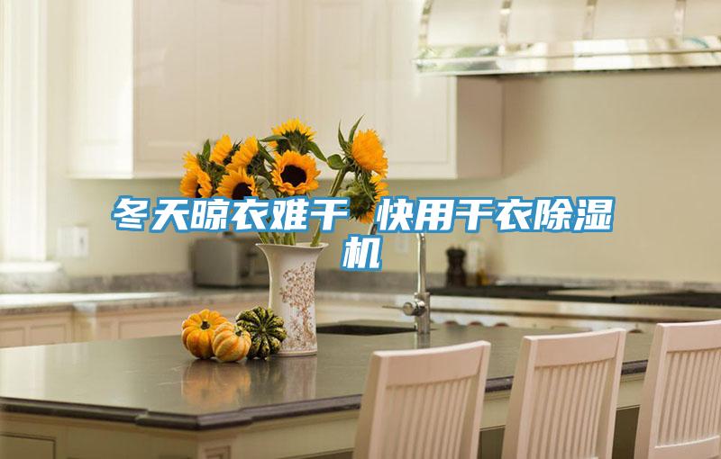 冬天晾衣难干 快用干衣猫咪成人官网