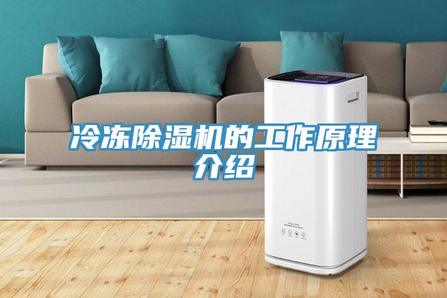 冷冻猫咪成人官网的工作原理介绍