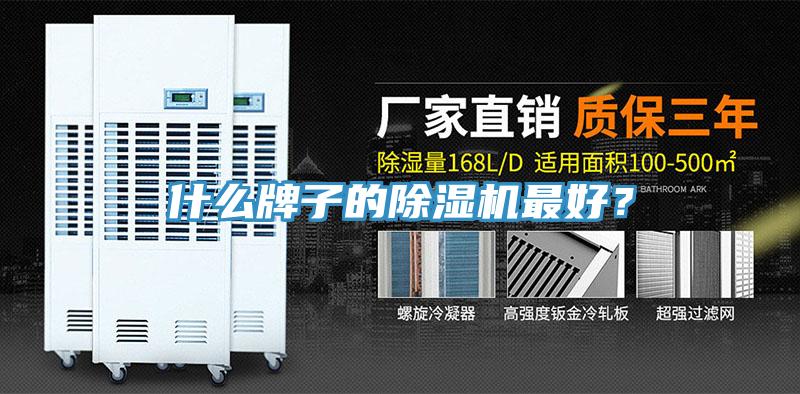 什么牌子的猫咪成人官网最好？