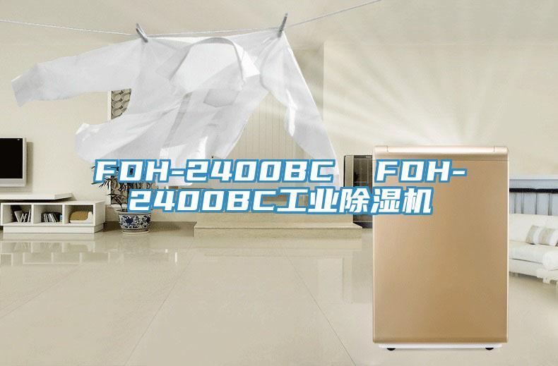 FDH-2400BC  FDH-2400BC工业猫咪成人官网