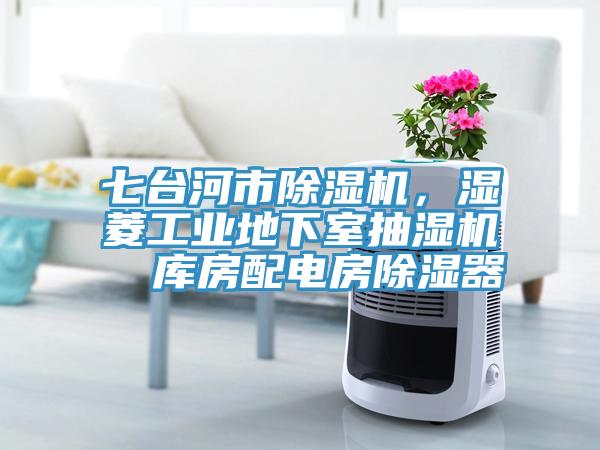 七台河市猫咪成人官网，湿菱工业地下室抽湿机  库房配电房除湿器