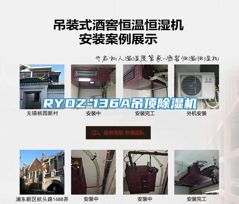 RYDZ-136A吊顶猫咪成人官网