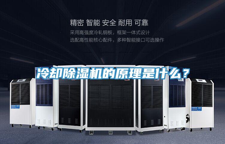 冷却猫咪成人官网的原理是什么？