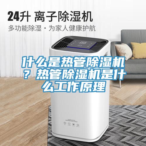什么是热管猫咪成人官网？热管猫咪成人官网是什么工作原理