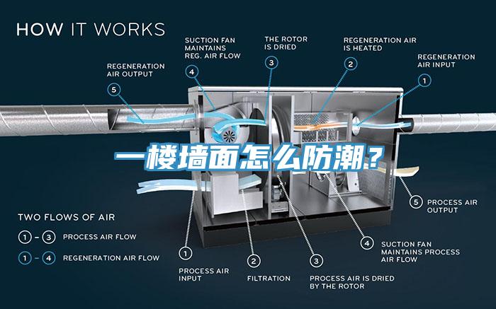 一楼墙面怎么防潮？