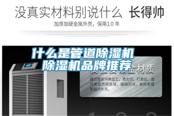 什么是管道猫咪成人官网 猫咪成人官网品牌推荐