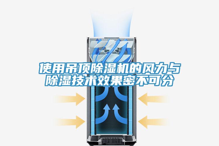 使用吊顶猫咪成人官网的风力与除湿技术效果密不可分