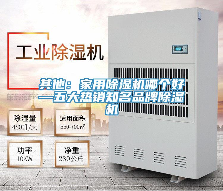 其他：家用猫咪成人官网哪个好—五大热销知名品牌猫咪成人官网