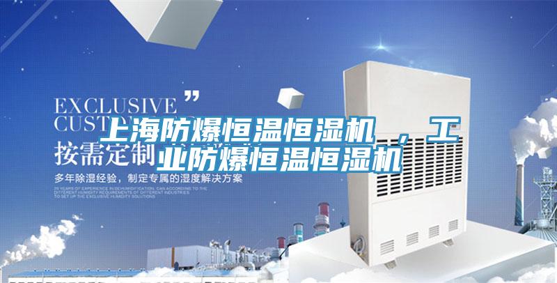 上海防爆恒温恒湿机 ，工业防爆恒温恒湿机
