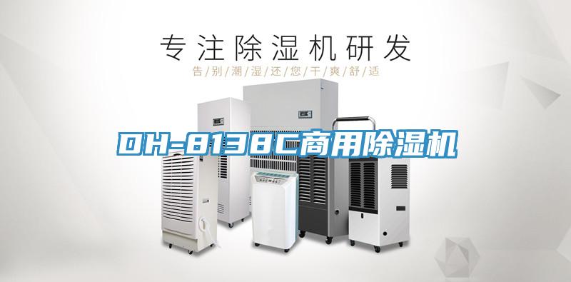 DH-8138C商用猫咪成人官网