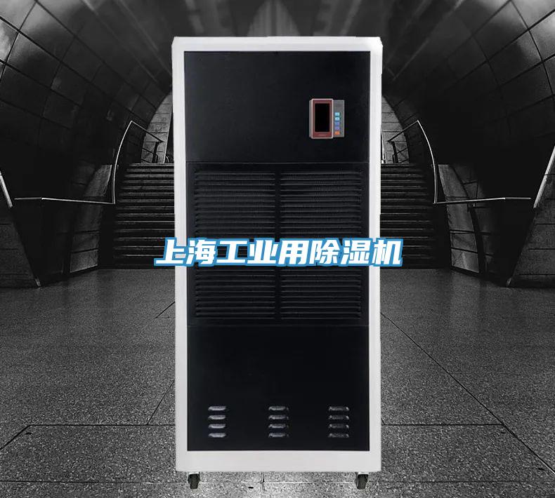 上海工业用猫咪成人官网
