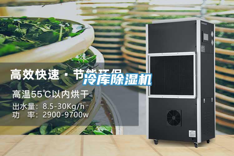 冷库猫咪成人官网