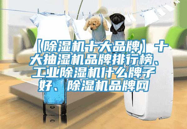 【猫咪成人官网十大品牌】十大抽湿机品牌排行榜、工业猫咪成人官网什么牌子好、猫咪成人官网品牌网