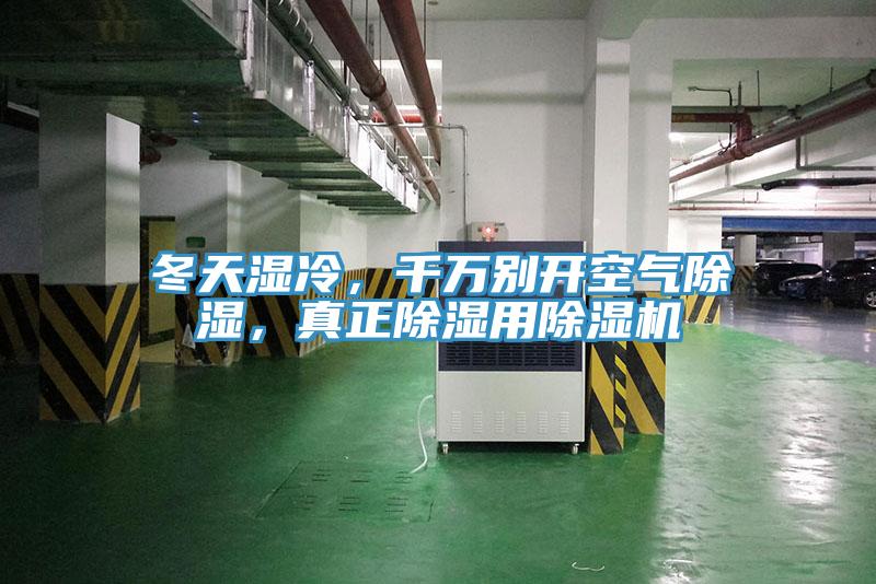冬天湿冷，千万别开空气除湿，真正除湿用猫咪成人官网