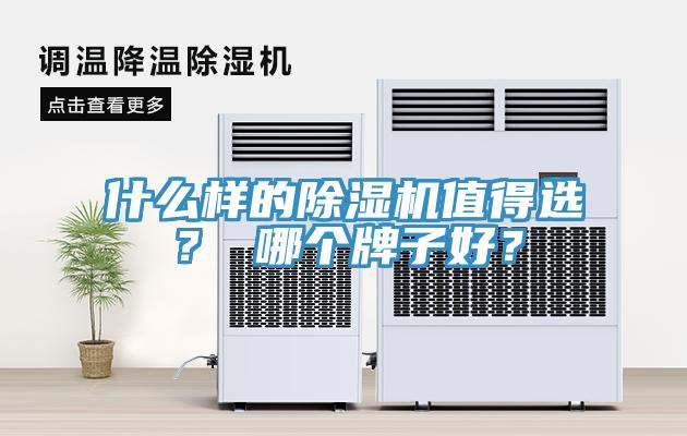 什么样的猫咪成人官网值得选？ 哪个牌子好？