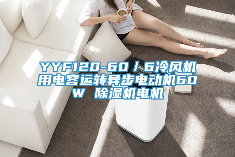 YYF120-60／6冷风机用电容运转异步电动机60W 猫咪成人官网电机