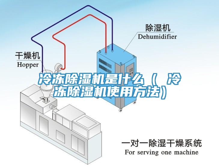 冷冻猫咪成人官网是什么（ 冷冻猫咪成人官网使用方法）