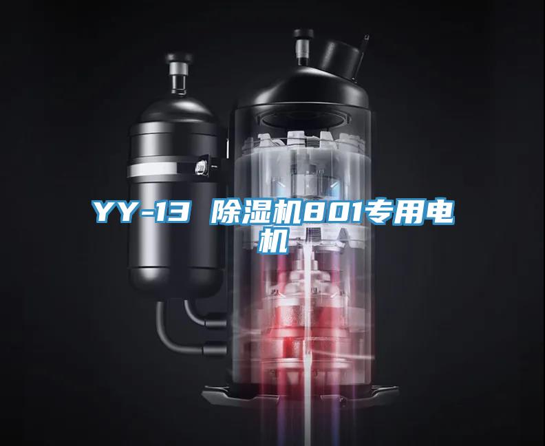 YY-13 猫咪成人官网801专用电机