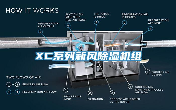 XC系列新风猫咪成人官网组