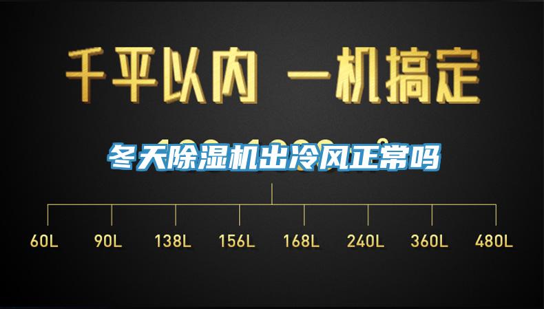 冬天猫咪成人官网出冷风正常吗