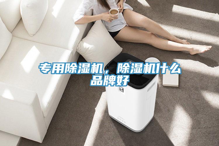 专用猫咪成人官网，猫咪成人官网什么品牌好