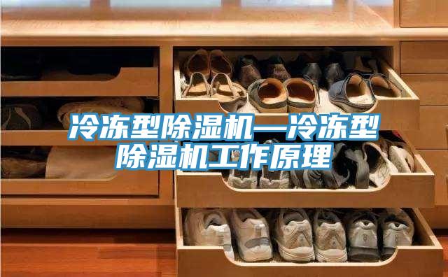 冷冻型猫咪成人官网—冷冻型猫咪成人官网工作原理