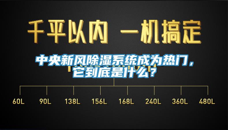 中央新风除湿系统成为热门，它到底是什么？