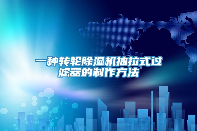 一种转轮猫咪成人官网抽拉式过滤器的制作方法