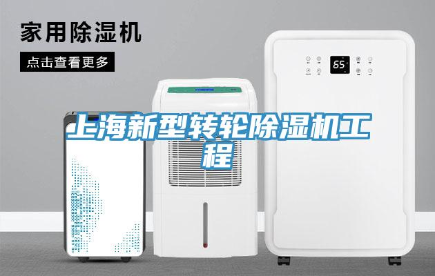 上海新型转轮猫咪成人官网工程