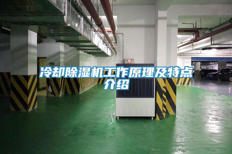 冷却猫咪成人官网工作原理及特点介绍