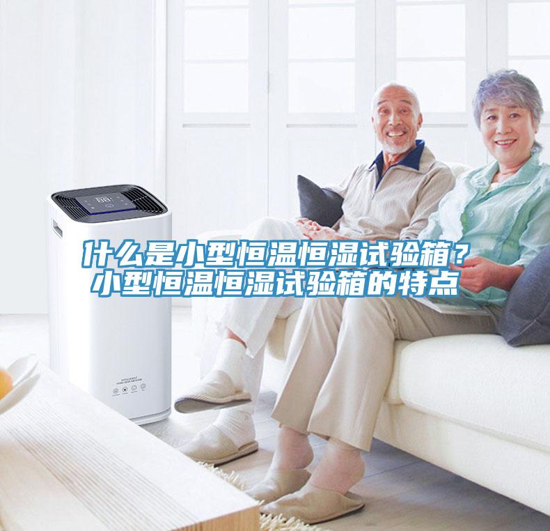 什么是小型恒温恒湿试验箱？小型恒温恒湿试验箱的特点