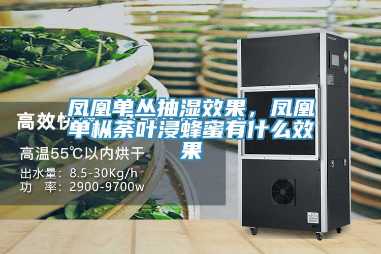 凤凰单丛抽湿效果，凤凰单枞荼叶浸蜂蜜有什么效果