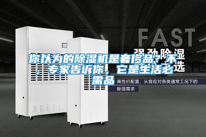 你以为的猫咪成人官网是奢侈品？不，专家告诉你，它是生活必需品
