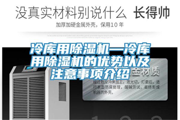冷库用猫咪成人官网—冷库用猫咪成人官网的优势以及注意事项介绍